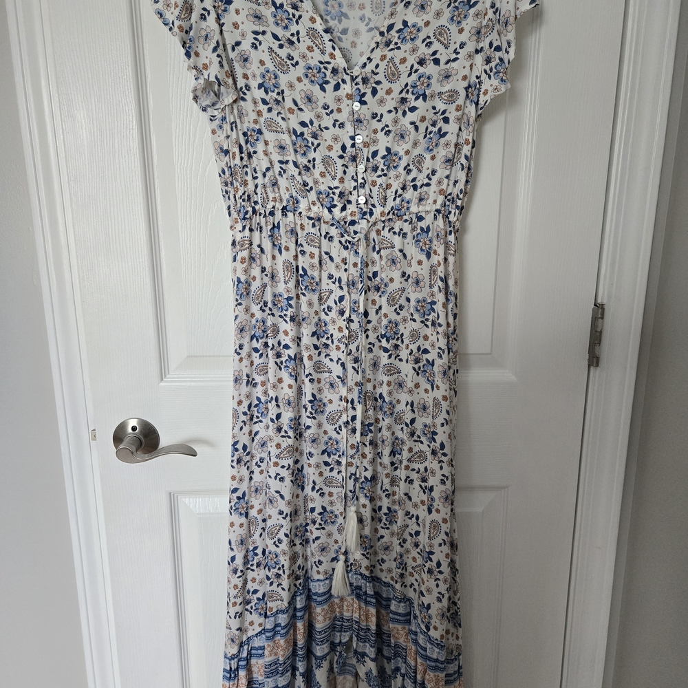Japna Blue and White Floral Maxi Dress